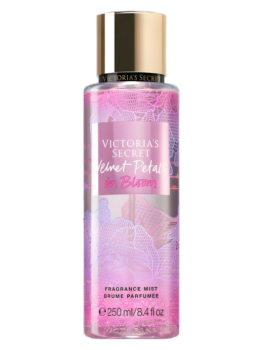 Velvet Petals in Bloom Victoria's Secret