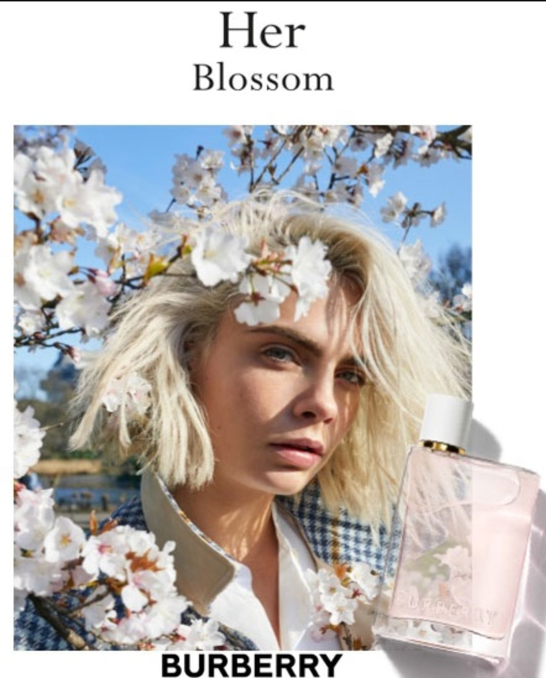 Burberry Her Blossom Burberry